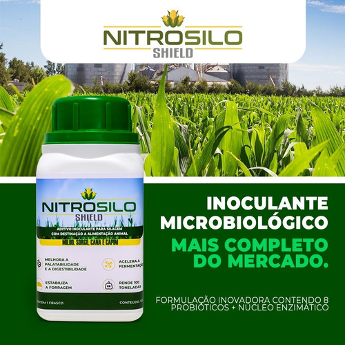 Aditivos para Silagem: Como Melhorar a Qualidade da Alimentação Animal