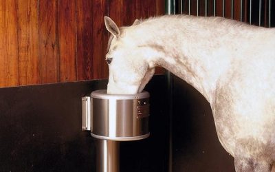 Bebedouros Automáticos: A Solução Ideal para o Cuidado Animal