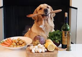 Alimentos Naturais para Cães: O Guia Completo para uma Dieta Saudável