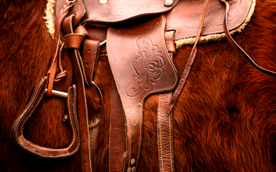 Equipamentos de Montaria: A Importância e Cuidados para Seu Animal