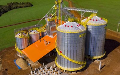 Como um Silo de Grãos Pode Transformar o Cuidado Animal e a Silagem