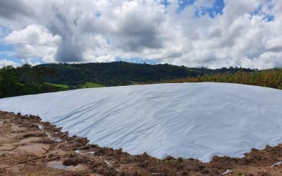 Lonas para Silo: A Solução Ideal para Armazenagem de Silagem