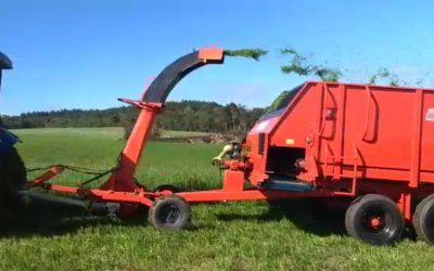 Picadores de Silagem: A Solução Ideal para o Cuidado Animal