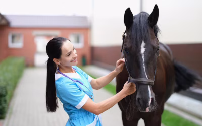As Melhores Vitaminas para Cavalo: O Guia Completo para a Saúde Equina